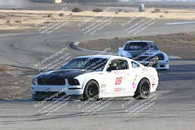 media/Nov-17-2024-CalClub SCCA (Sun) [[5252d9c58e]]/Group 6/Race (Off Ramp)/